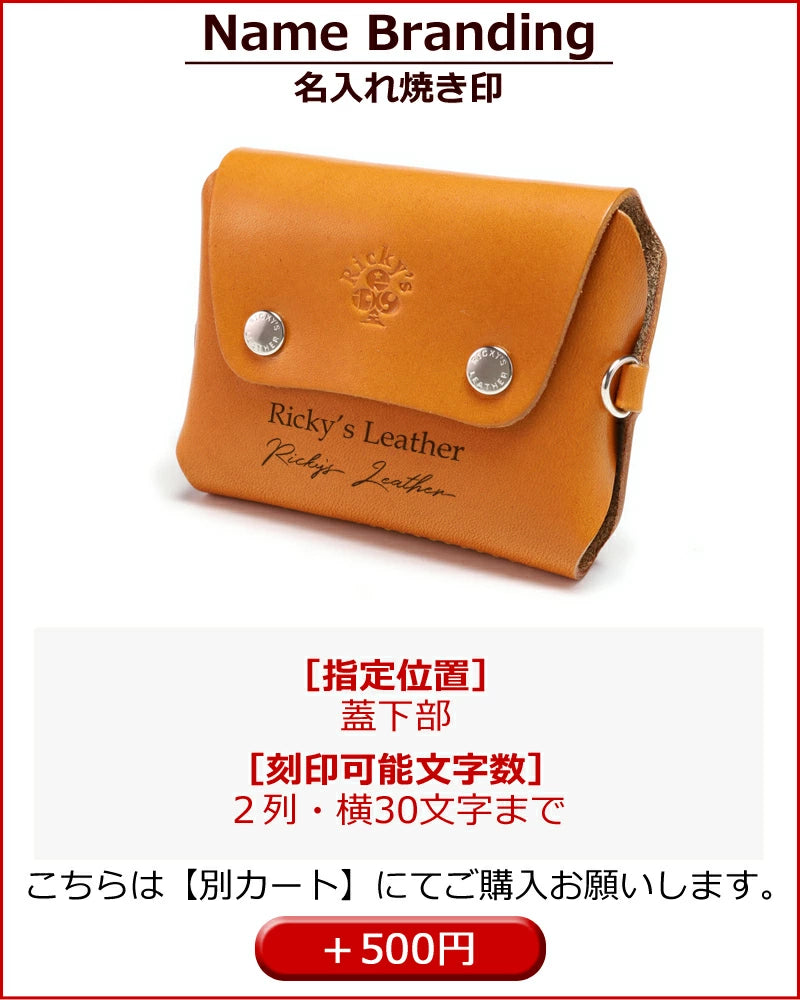 ダブルスマートキーケース タイプ2