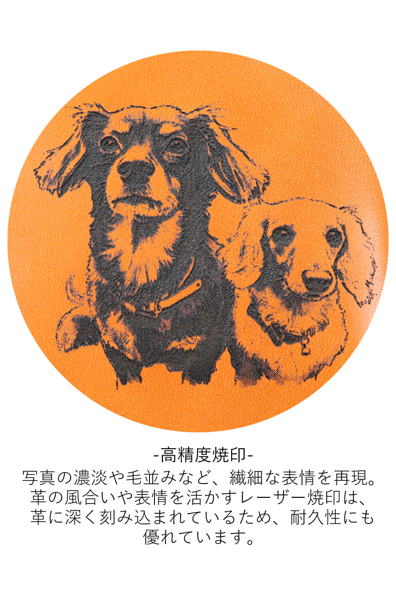 レーザーフォト